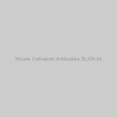 Image of Mouse Cathepsin Antibodies ELISA kit
